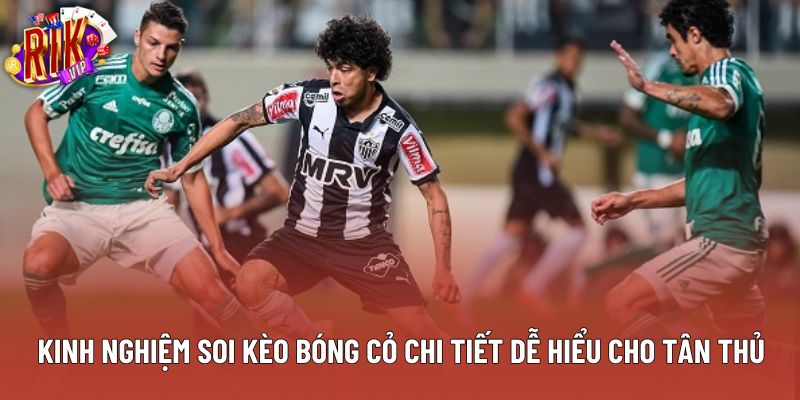 Kinh Nghiệm Soi Kèo Bóng Cỏ Chi Tiết Dễ Hiểu Cho Tân Thủ
