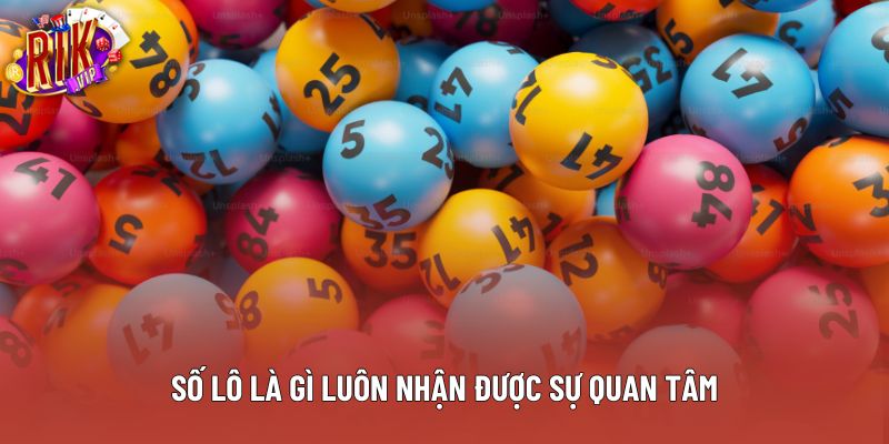 Số lô là gì luôn nhận được sự quan tâm